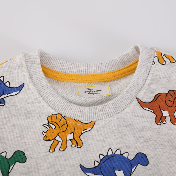 Jungen Sweatshirt mit fröhlichem Dinosaurier-Motiv Echo Archiv