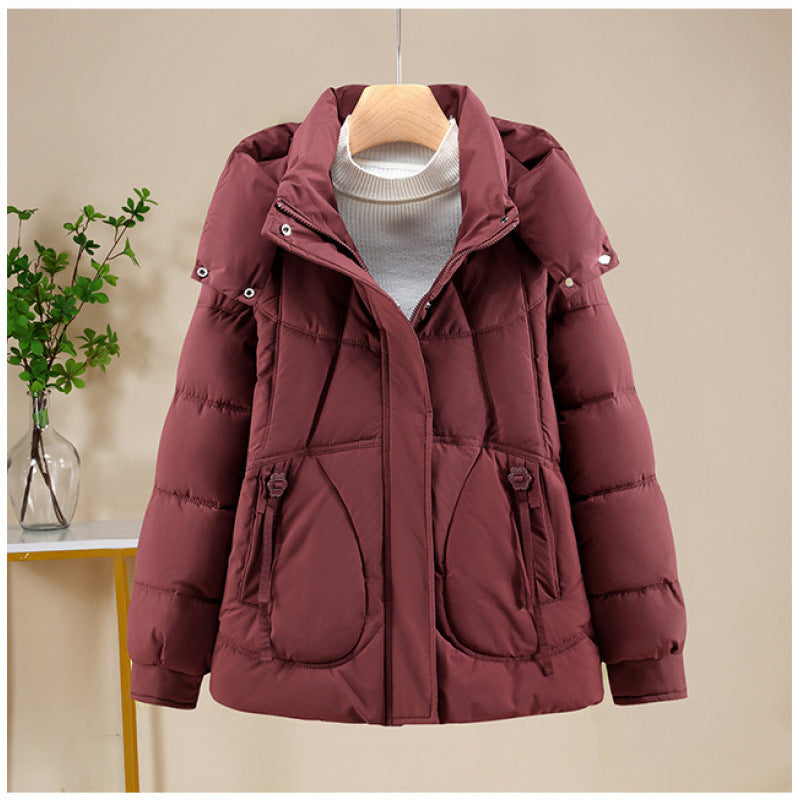 Damen Kurzjacke im Puffer‑Look mit Kapuze, taillierender Schnitt und Reißverschluss Echo Archiv