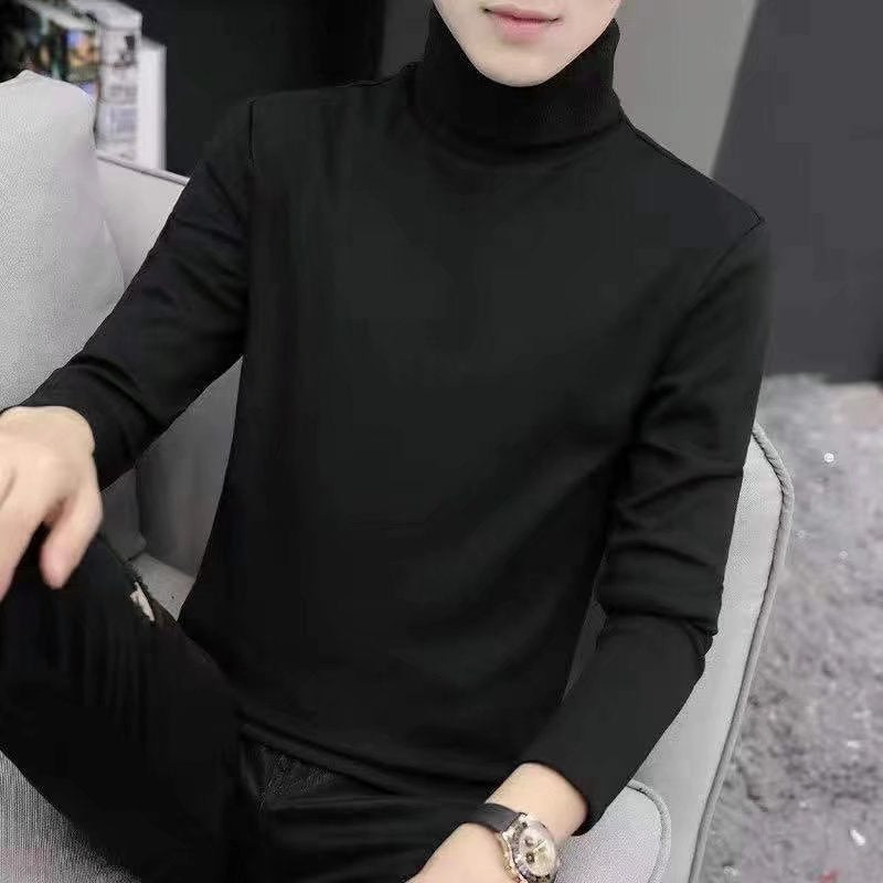 Herren Eleganter Rollkragenpullover Echoarchiv