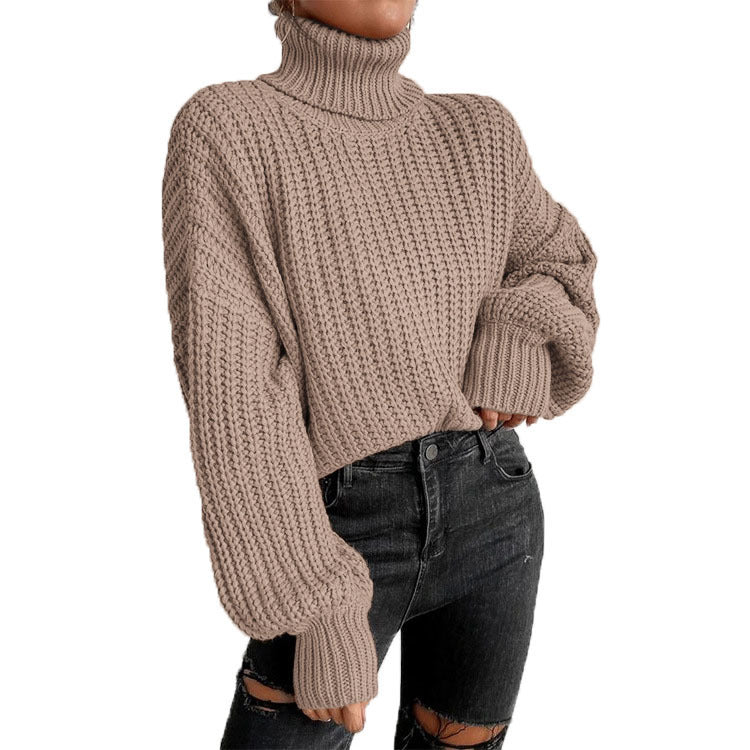 Damen nan grober Rollkragenpullover mit Oversize-Ärmeln und gerippten Bündchen Echo Archiv