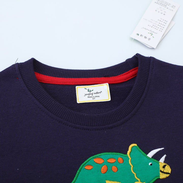 Jungen Sweatshirt mit buntem Dinosaurier-Applikationen Echo Archiv