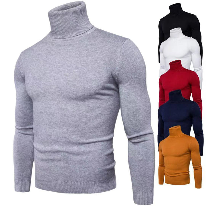 Herren modischer Rollkragenpullover aus feiner Merinowolle Echoarchiv