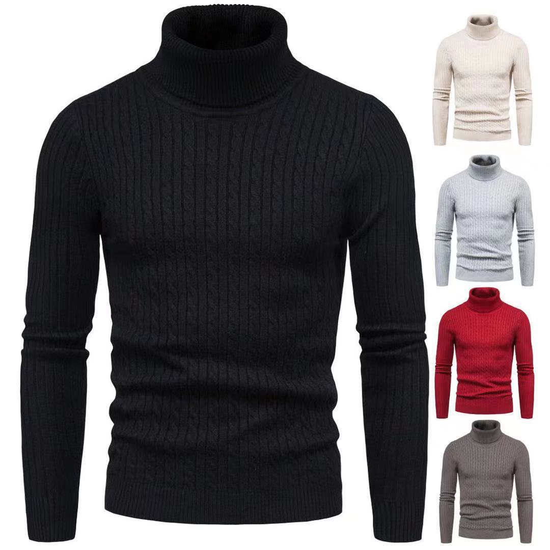 Herren Rollkragenpulli mit strukturiertem Zopfmuster Echoarchiv