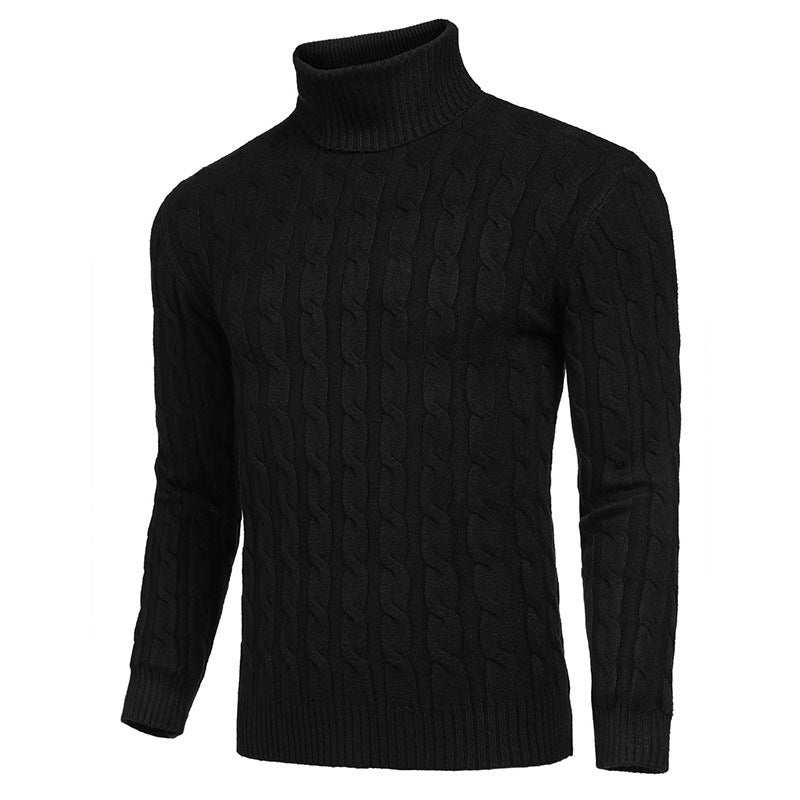 Herren modischer Rollkragenpullover mit Zopfmuster Echoarchiv