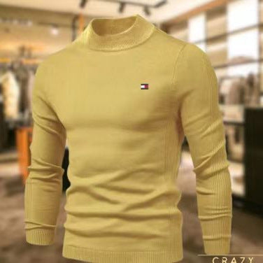 Herren stilvoller Rollkragenpullover aus weicher Merinowolle Echoarchiv