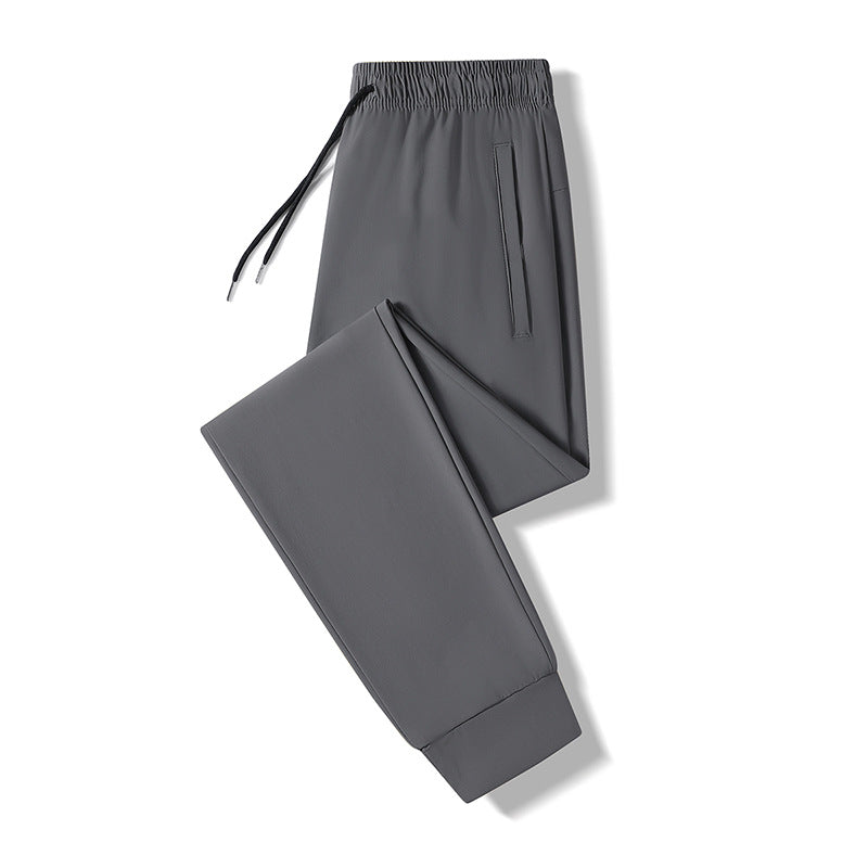 Herren Funktionale Sporthose Echo Archiv