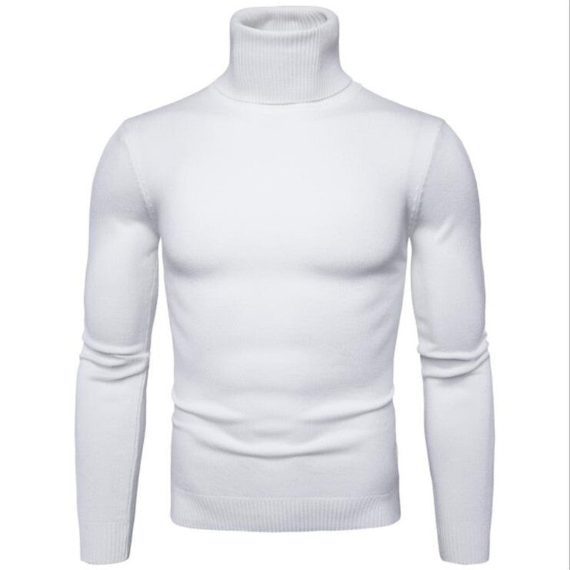 Herren Strickpullover mit hohem Kragen und schmalem Schnitt Echoarchiv