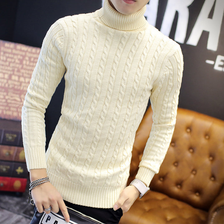 Herren nan Feinstrick-Rollkragenpullover mit Zopfmuster und schmaler Silhouette Echo Archiv
