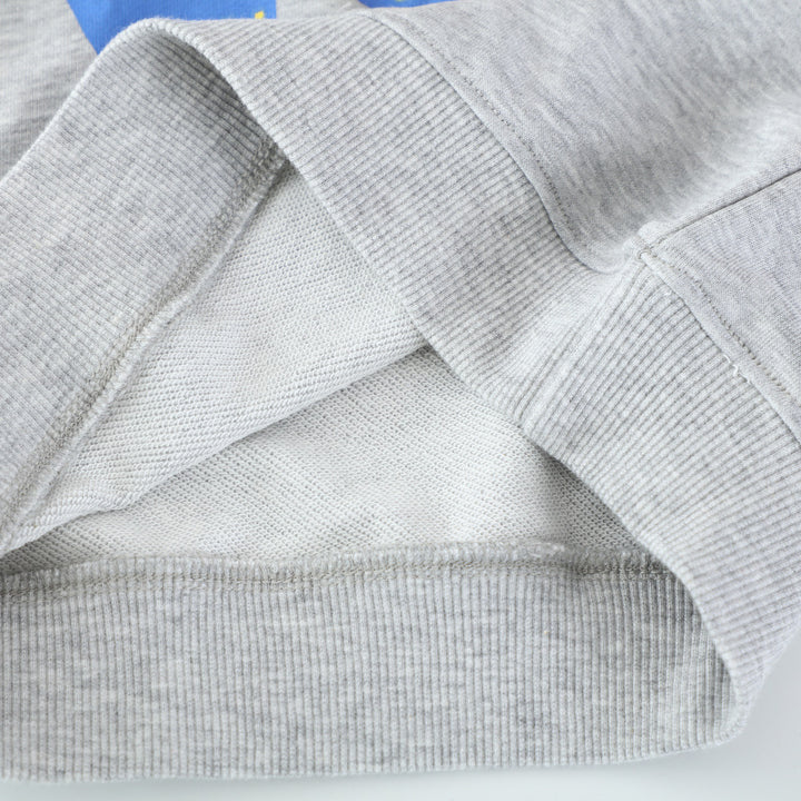 Jungen Sweatshirt mit lebhaftem Dinosaurier-Motiv Echo Archiv