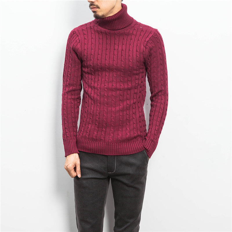 Herren nan Feinstrick-Rollkragenpullover mit Zopfmuster und schmaler Silhouette Echo Archiv