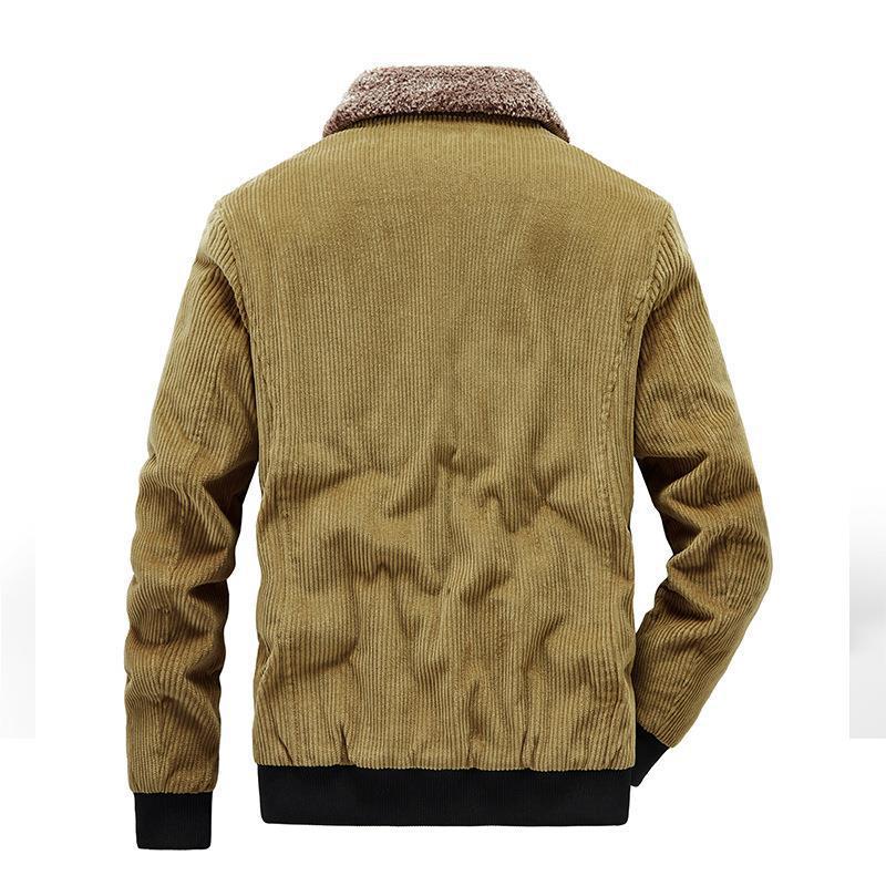 Herren Kord-Fieldblouson mit Sherpa-Innenfutter, Stehkragen und aufgesetzten Pattentaschen Echoarchiv