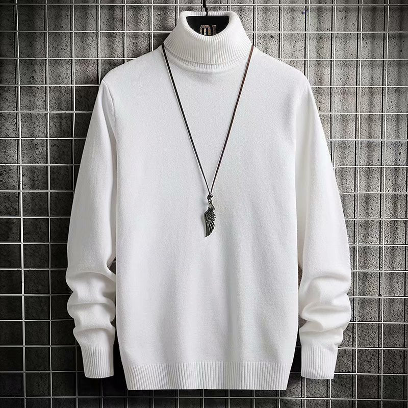 Herren Rollkragenpullover aus weicher Wolle Echoarchiv