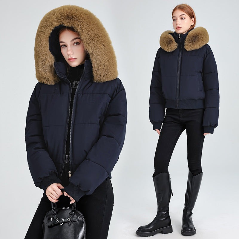 Damen Kurz-Bomber-Steppjacke mit abnehmbarem Plüschkragen und geripptem Saum Echo Archiv