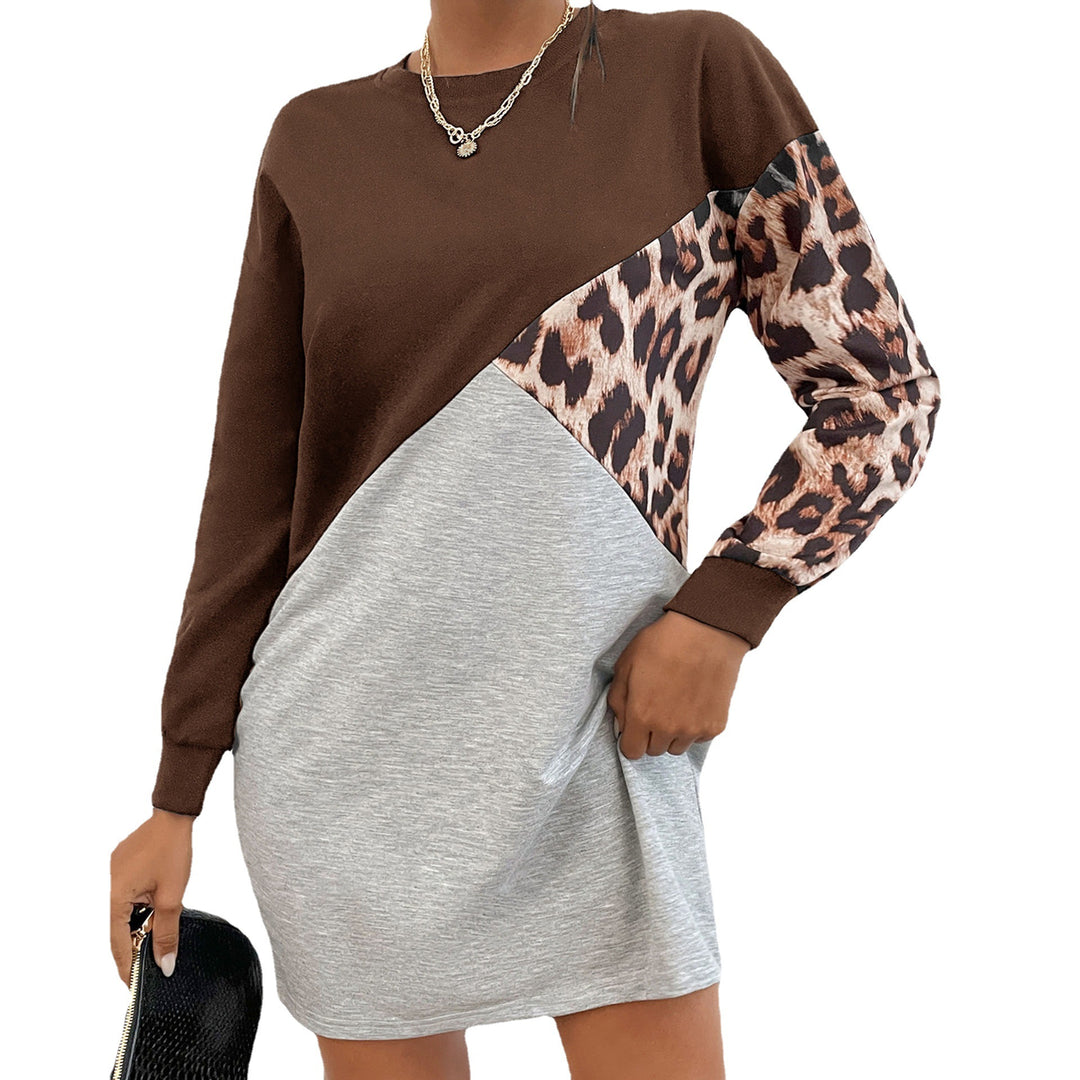 Damen Oversize-Sweatkleid mit Colorblock-Design und Leopardenärmeln Echoarchiv
