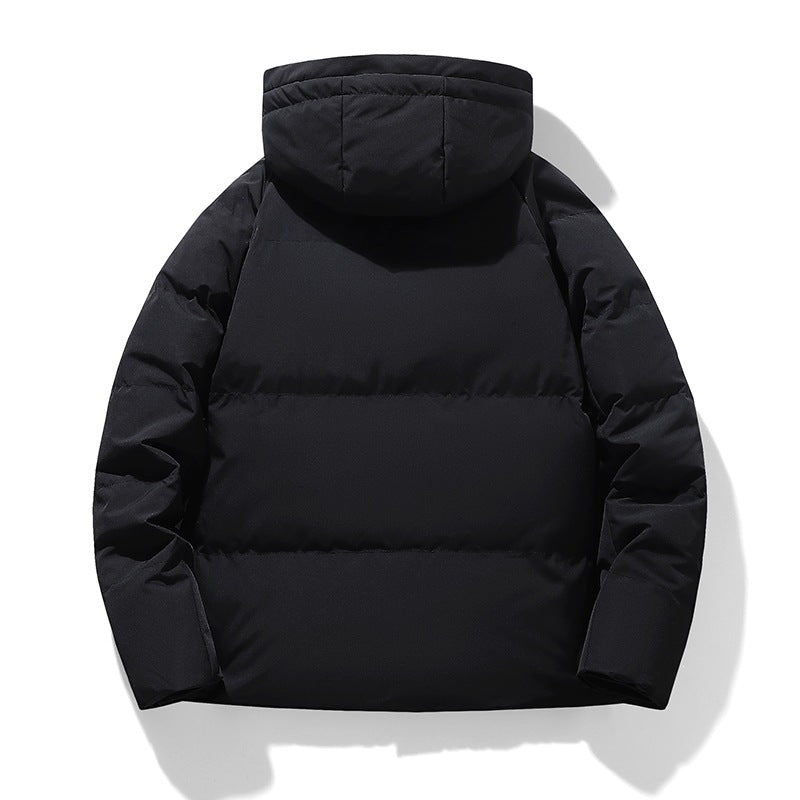 Herren Wattierte Kapuzen-Übergangsjacke mit Thermofüllung und hohem Stehkragen Echoarchiv
