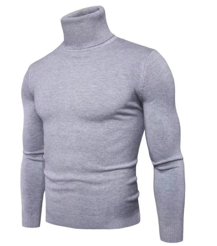 Herren modischer Rollkragenpullover aus feiner Merinowolle Echoarchiv