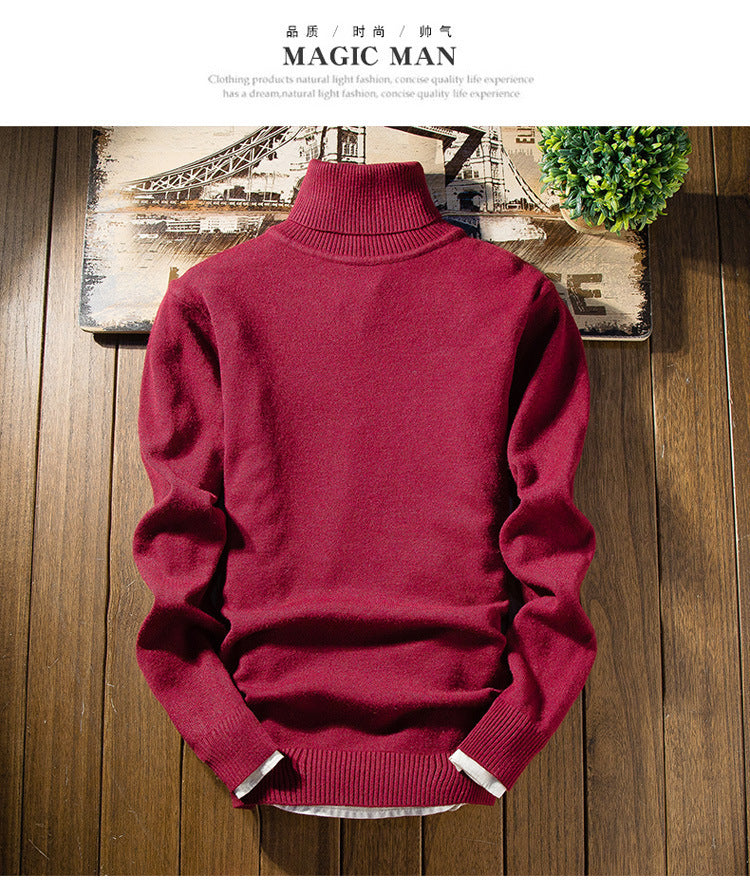 Herren modischer Rollkragenpullover aus feiner Merinowolle Echoarchiv