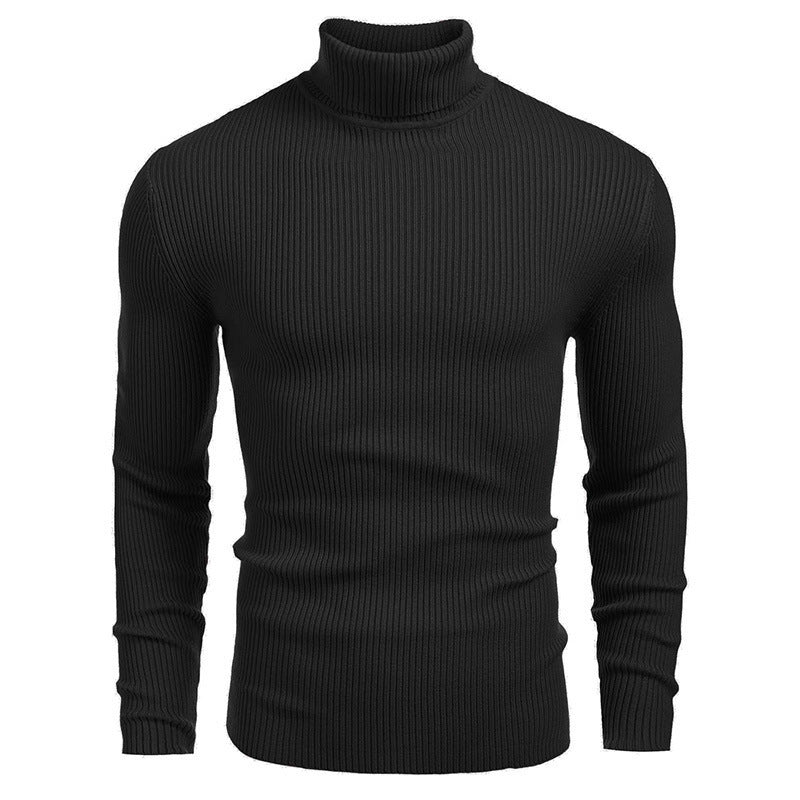 Herren Rollkragenpullover mit strukturiertem Rippenmuster Echoarchiv