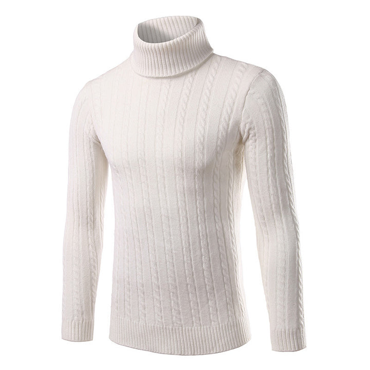 Herren stilvoller Rollkragenpullover mit Zopfmuster Echoarchiv