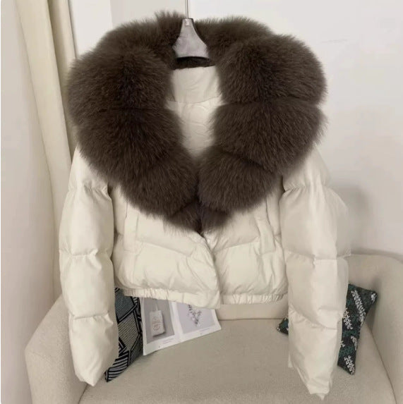 Damen nan kurz geschnittene Boxy-Pufferjacke mit extra großem Webpelzkragen und formstabilem Saum Echo Archiv