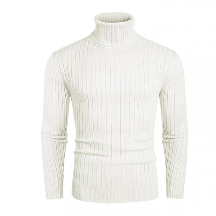 Herren Rollkragenpullover aus elastischem Strickmaterial mit feinem Rippendesign Echoarchiv