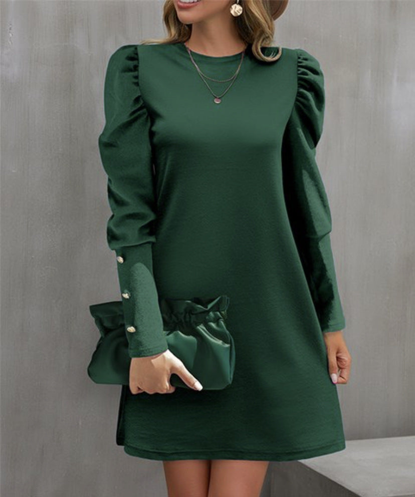 Damen nan elegantes A-Linien Minikleid mit gerafften Puffärmeln und dekorativen Manschettenknöpfen Echo Archiv