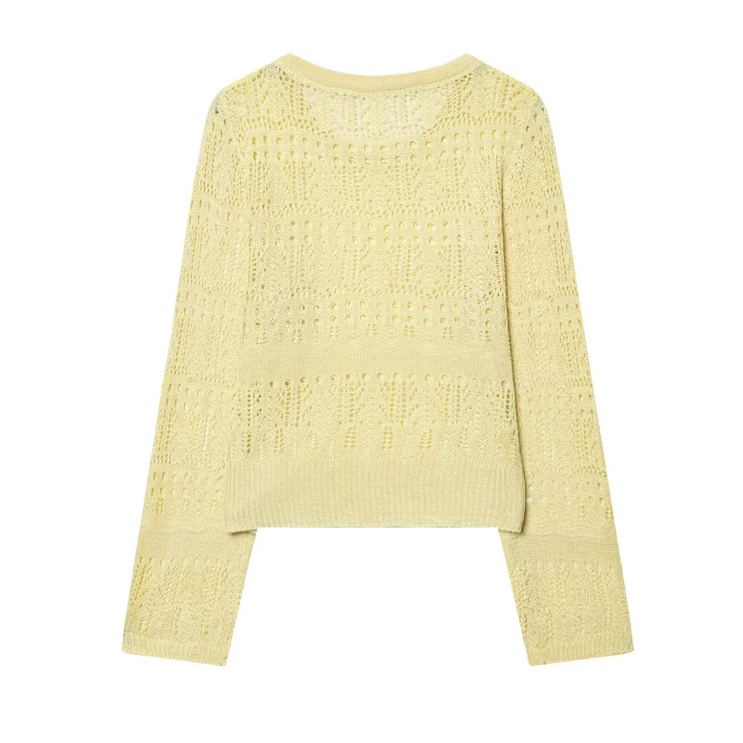 Damen Feinstrick-Openwork-Pullover mit Rundhalsausschnitt und filigranem Lochmuster Echo Archiv