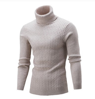 Herren stilvoller Rollkragenpullover mit Zopfmuster Echoarchiv