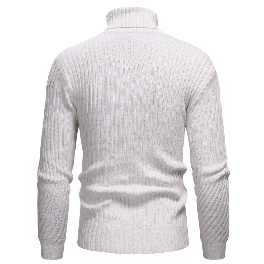 Herren Hochwertiger Rollkragenpullover im strukturierten Design Echoarchiv