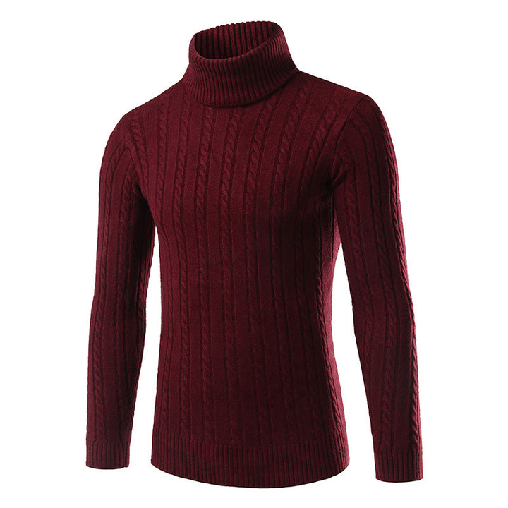 Herren stilvoller Rollkragenpullover mit Zopfmuster Echoarchiv
