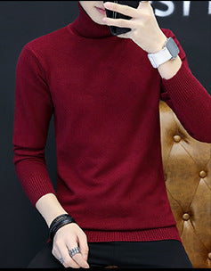 Herren Rollkragenpullover aus feinem Strick Echoarchiv