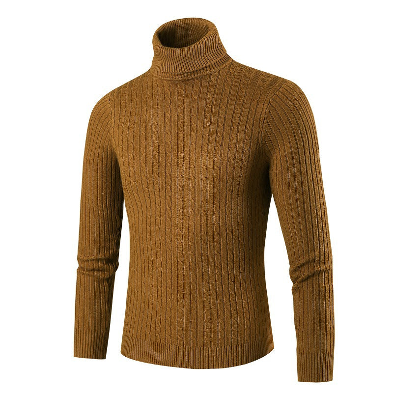 Herren modischer Rollkragenpullover aus strukturiertem Strick Echoarchiv