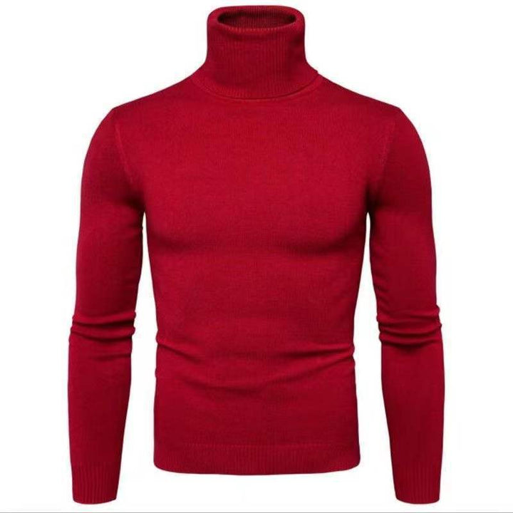 Herren Rollkragenpullover aus feiner Baumwolle mit figurbetontem Schnitt Echoarchiv
