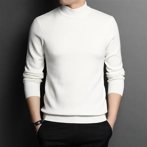 Herren Hochwertiger Rollkragenpullover aus feinem Strick Echoarchiv