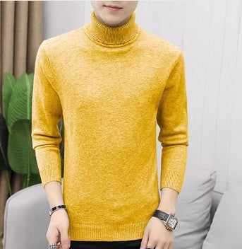 Herren eleganter Rollkragenpullover aus feiner Merinowolle Echoarchiv