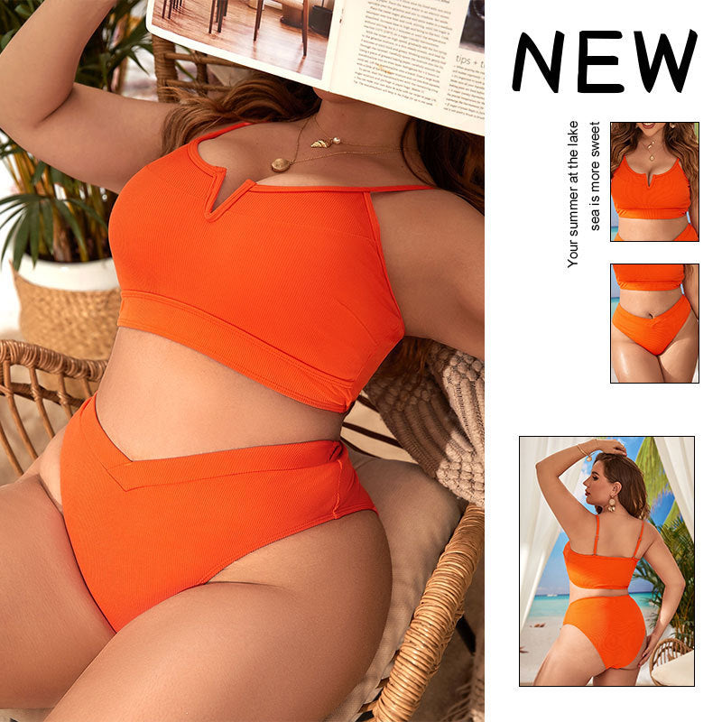 Damen Bikini-Set mit hochtailliertem Höschen und sportlichem Oberteil Echo Archiv