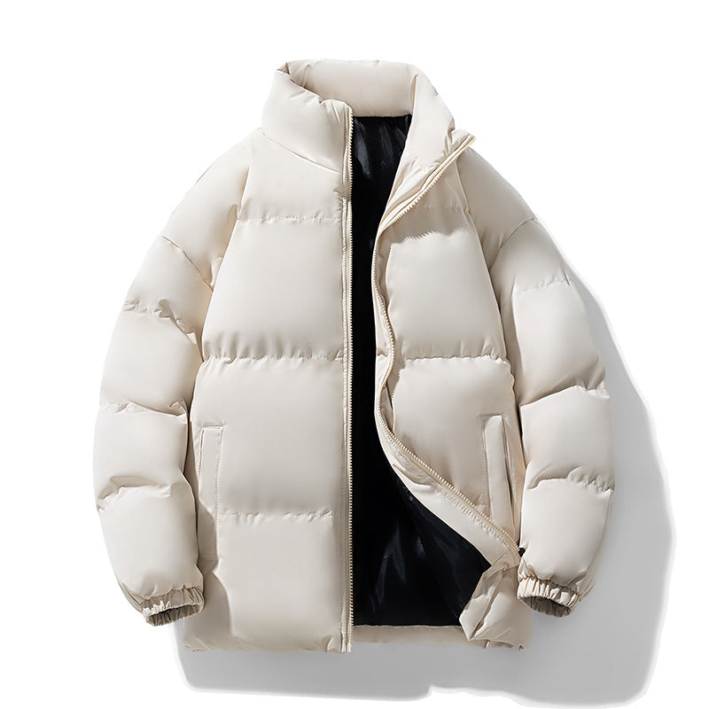 Herren Wattierte Puffer‑Übergangsjacke mit Stehkragen, Reißverschluss & Elastbündchen Echoarchiv
