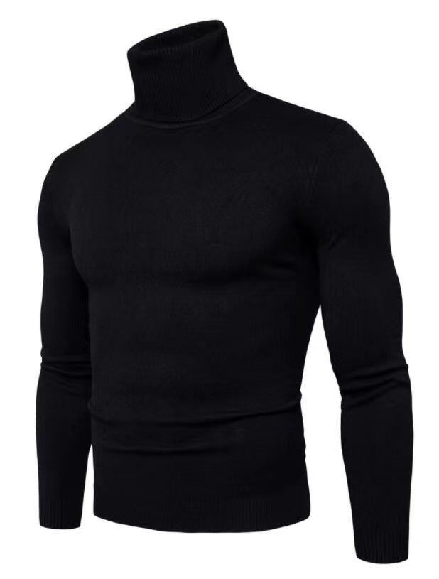 Herren modischer Rollkragenpullover aus feiner Merinowolle Echoarchiv