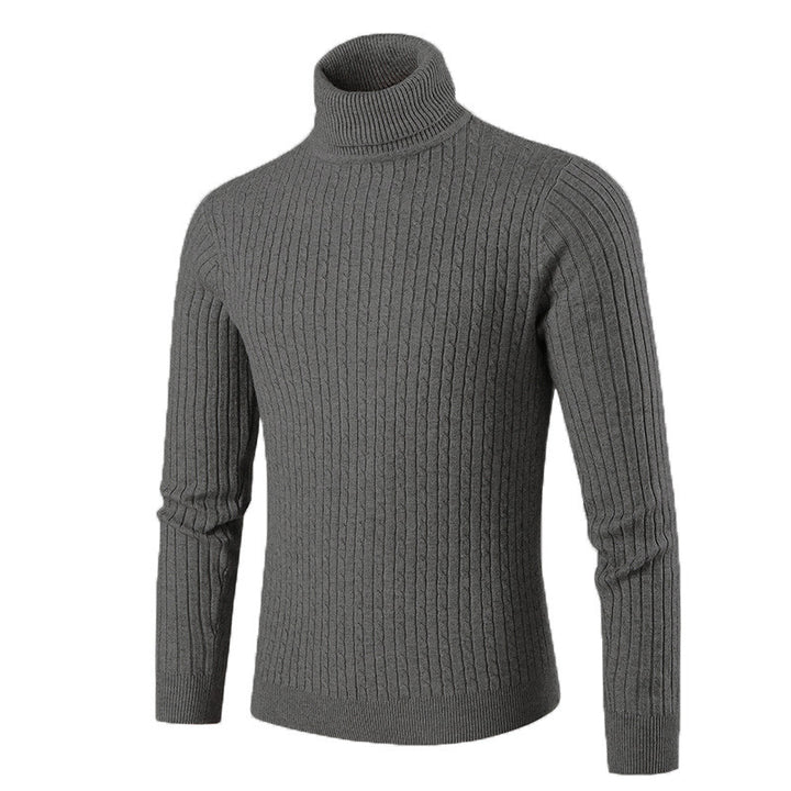 Herren modischer Rollkragenpullover aus strukturiertem Strick Echoarchiv