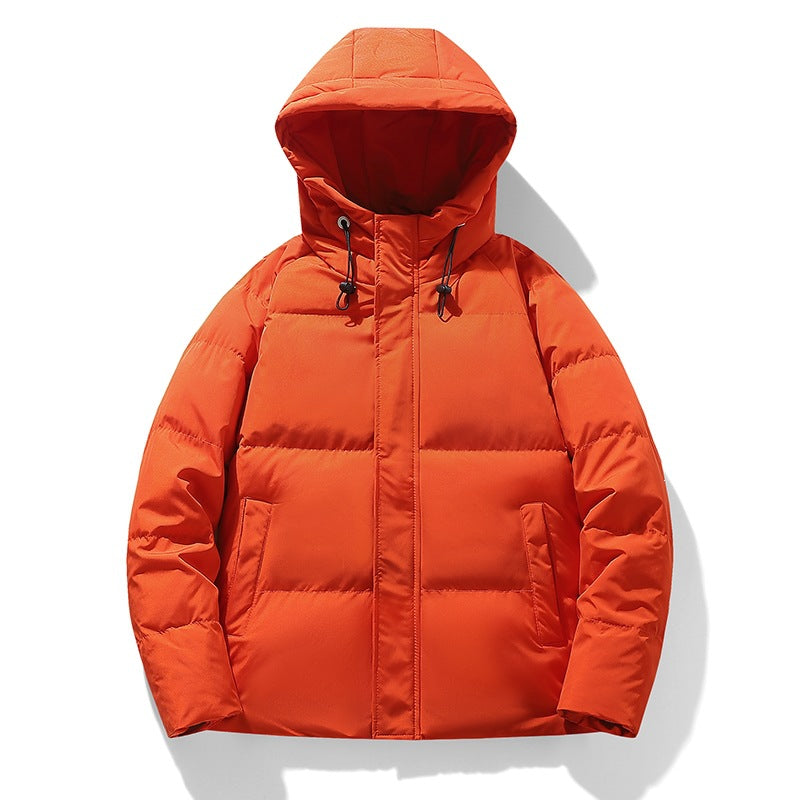 Herren Wattierte Kapuzen-Übergangsjacke mit Thermofüllung und hohem Stehkragen Echoarchiv