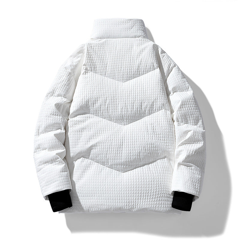 Herren gesteppte wendbare Winterjacke mit Stehkragen und Hahnentrittmuster-Futter Echo Archiv