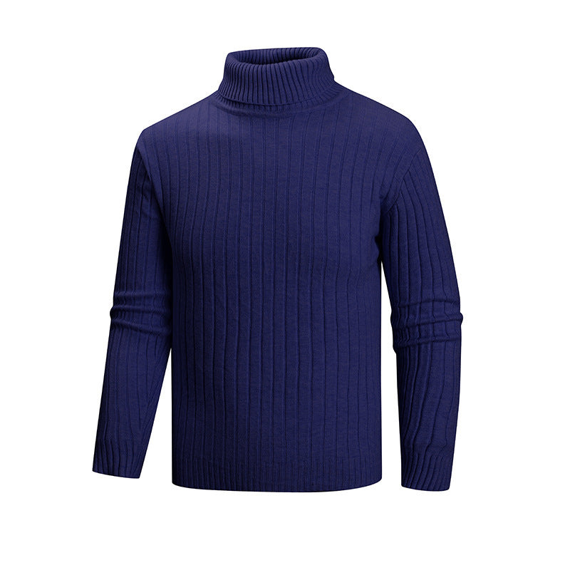 Herren Strickpullover mit Stehkragen Echoarchiv