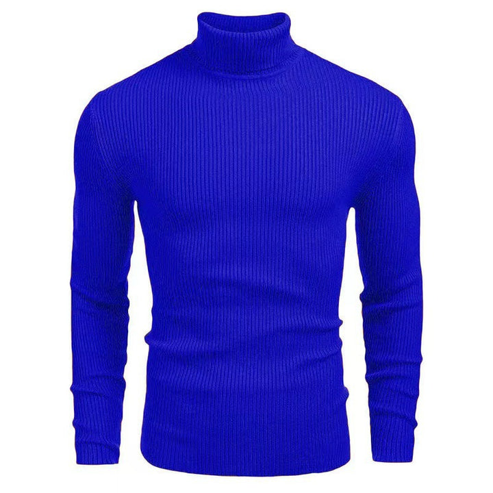 Herren Rollkragenpullover mit strukturiertem Rippenmuster Echoarchiv