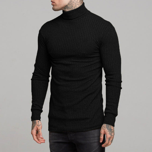 Herren modisches Langarmshirt mit Rollkragen Echoarchiv