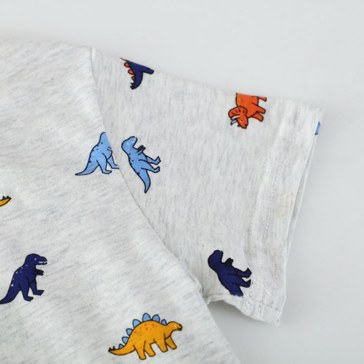 Kinder T-Shirt mit buntem Dinosauriermotiv Echo Archiv