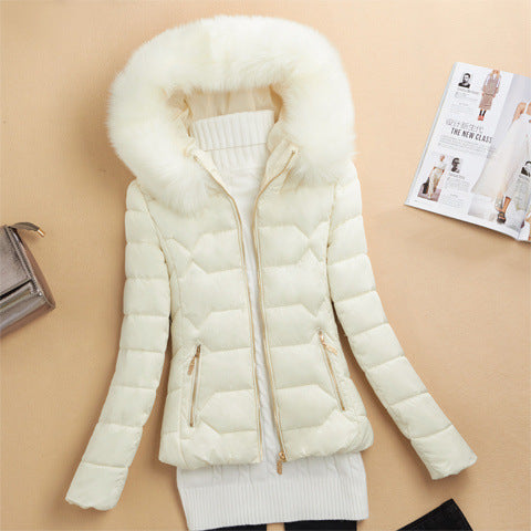 Echoarchiv | Winterjacke mit Kunstfellkragen für Damen