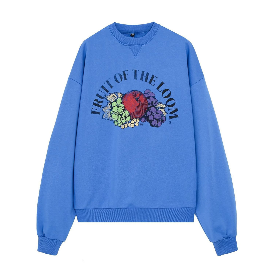 Damen Oversized Sweatshirt mit Rundhals, vintage Fruit-Print und weich angerautem Baumwollfleece Echoarchiv