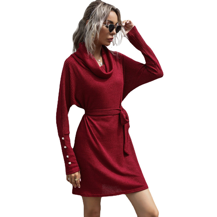 Damen Strickkleid mit weitem Rollkragen, Bindegürtel und Oversize-Ärmeln Echoarchiv