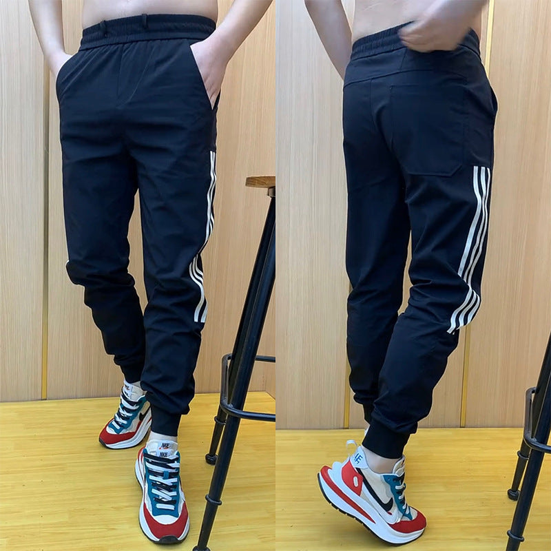 Herren Bequeme Freizeithose mit elastischem Bund Echoarchiv