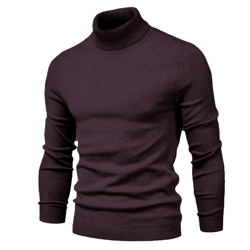 Herren modischer Rollkragenpullover aus feiner Merinowolle Echoarchiv